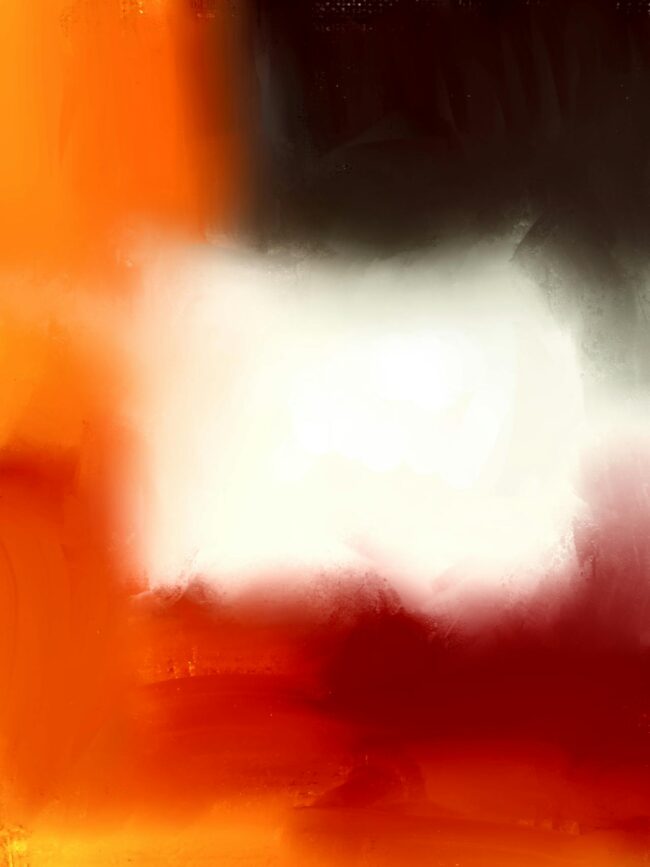 pexels-steve-24536334